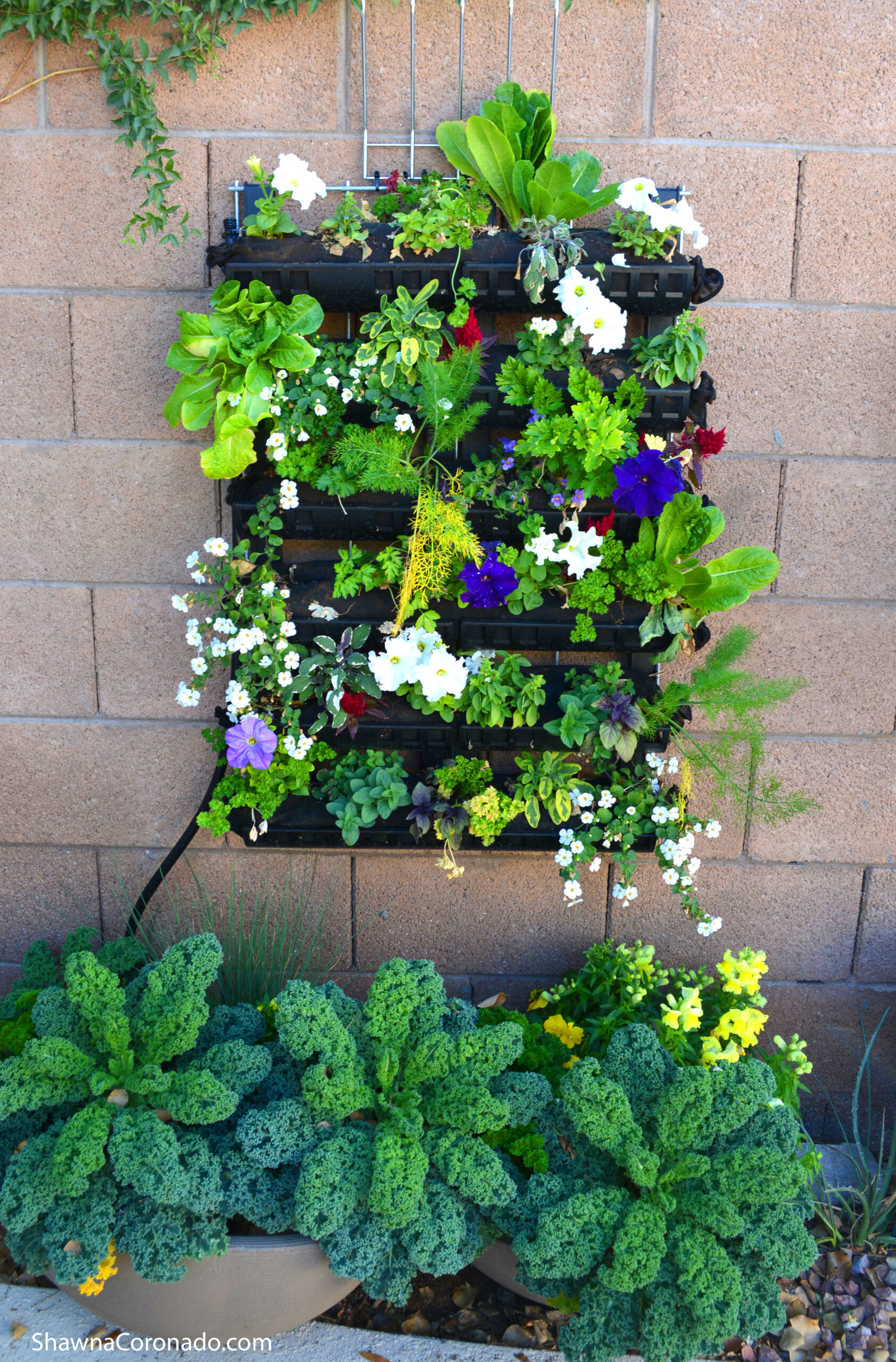 Varden Kit Living Wall Garden