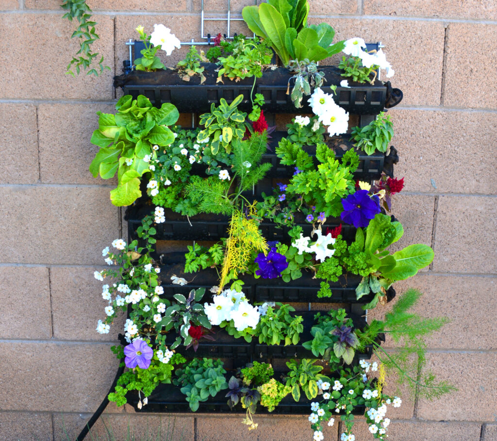 Living Wall Garden Quick Growing Guide