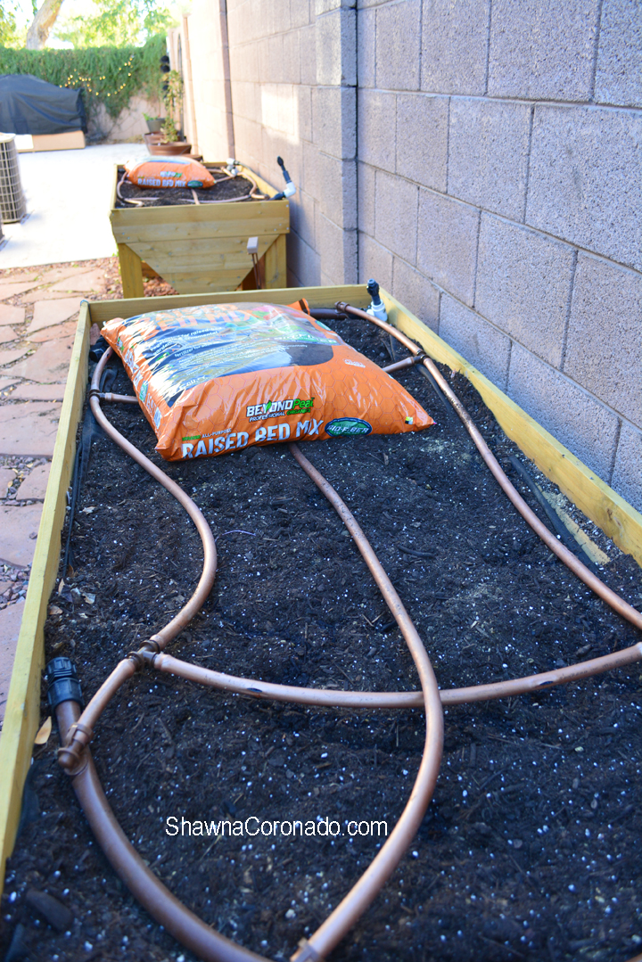 Beyond Peat Raised Bed irrigation