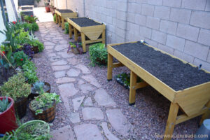 Elevated Garden beds filled with soil