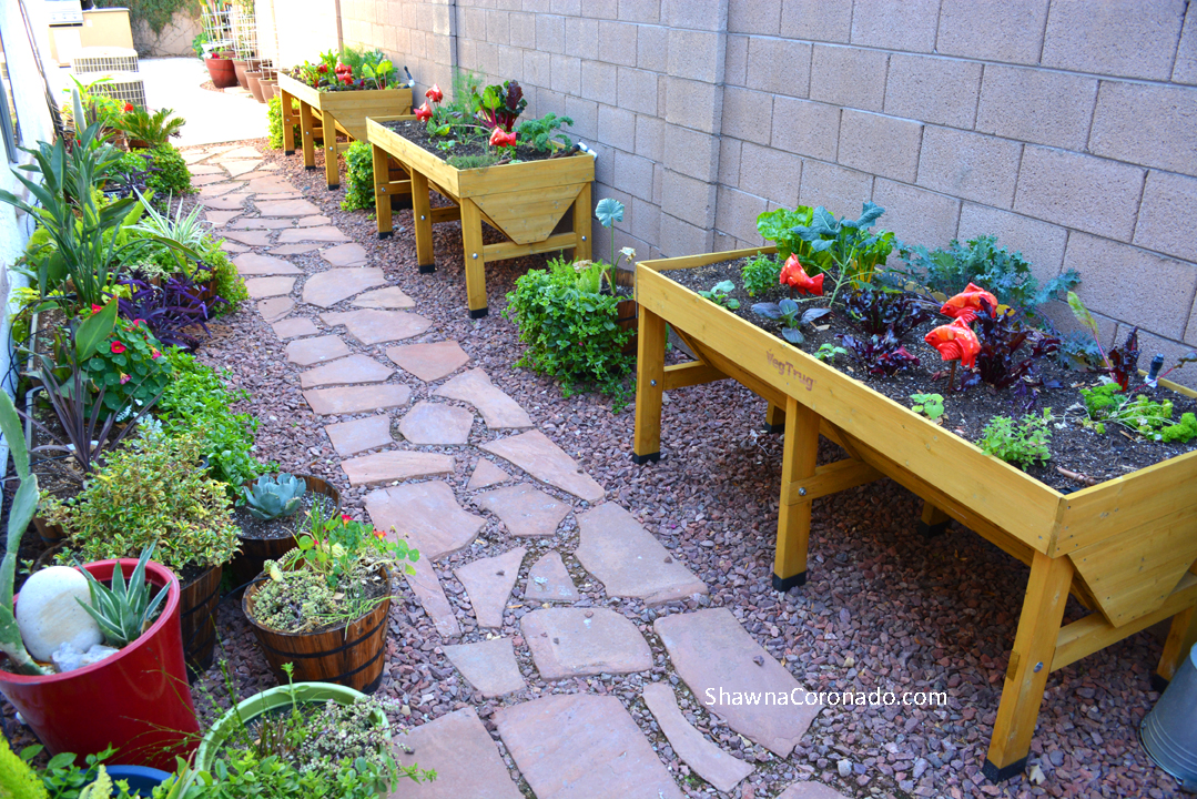 Elevated Garden beds planted with vegetables