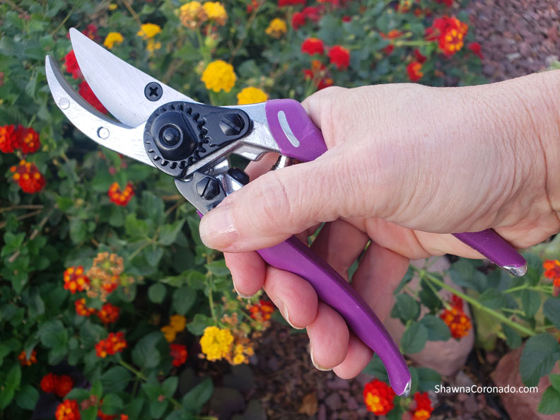 Dramm-ColorPoint-Bypass-Pro-Pruner