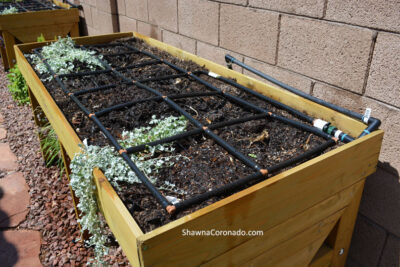 Irrigation-grid-in-elevated-bed-ready-to-go