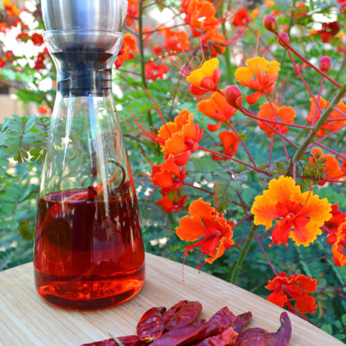 Red Chili Oil Recipe