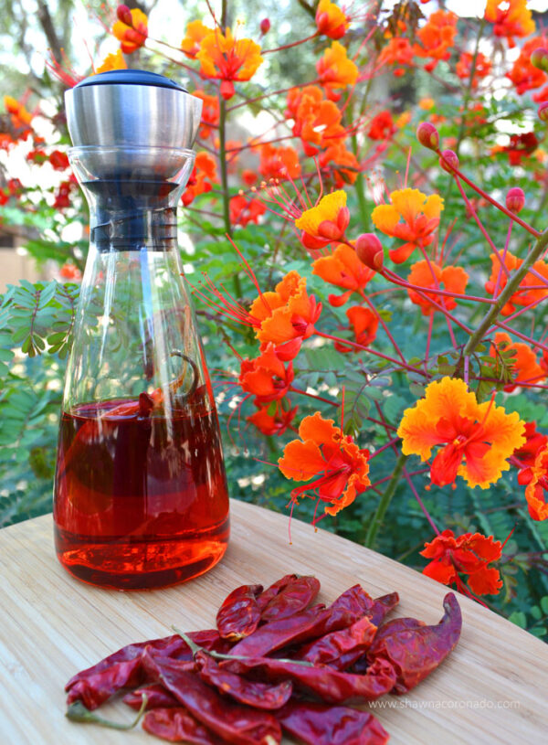 Gin Limoncello Fizz Cocktail Recipe