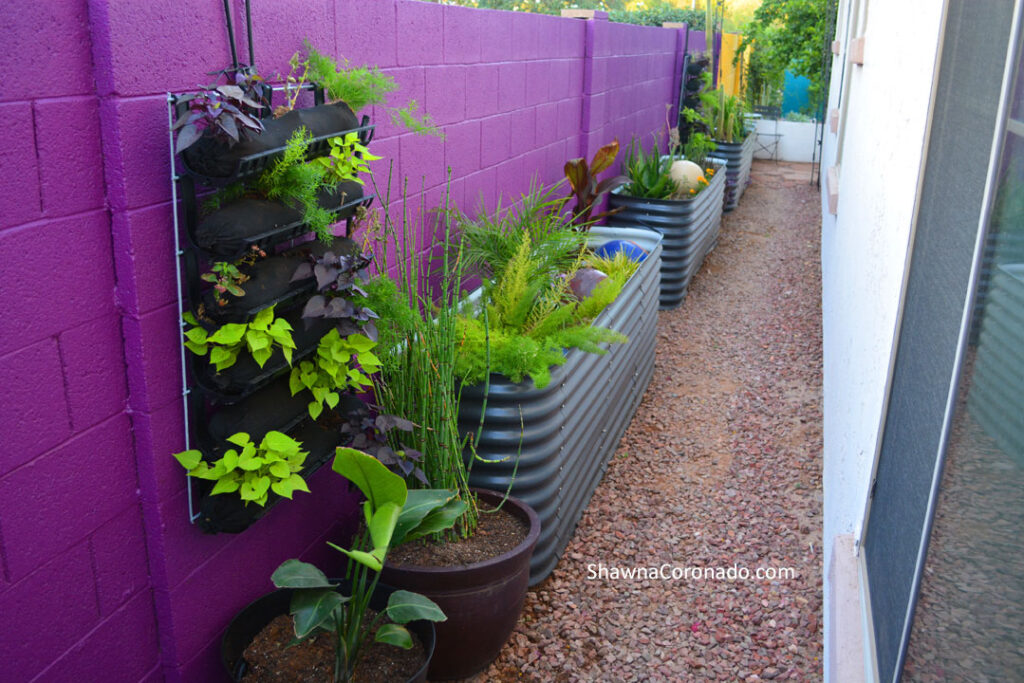 Birdies raised beds in secret purple garden