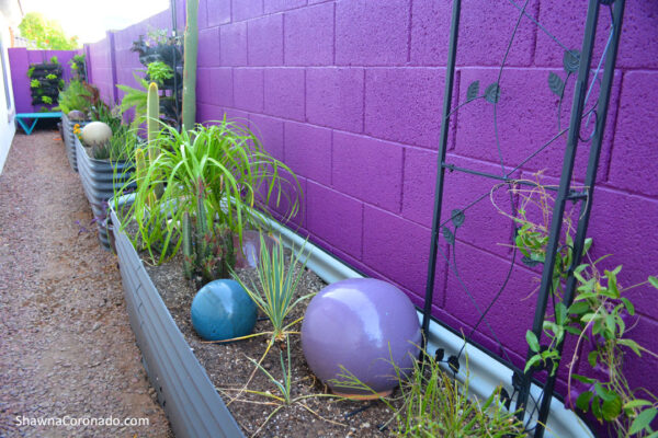 Birdies-Raised-Beds-with-plants