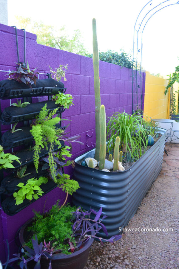 Living-Wall-in-sideyard-garden