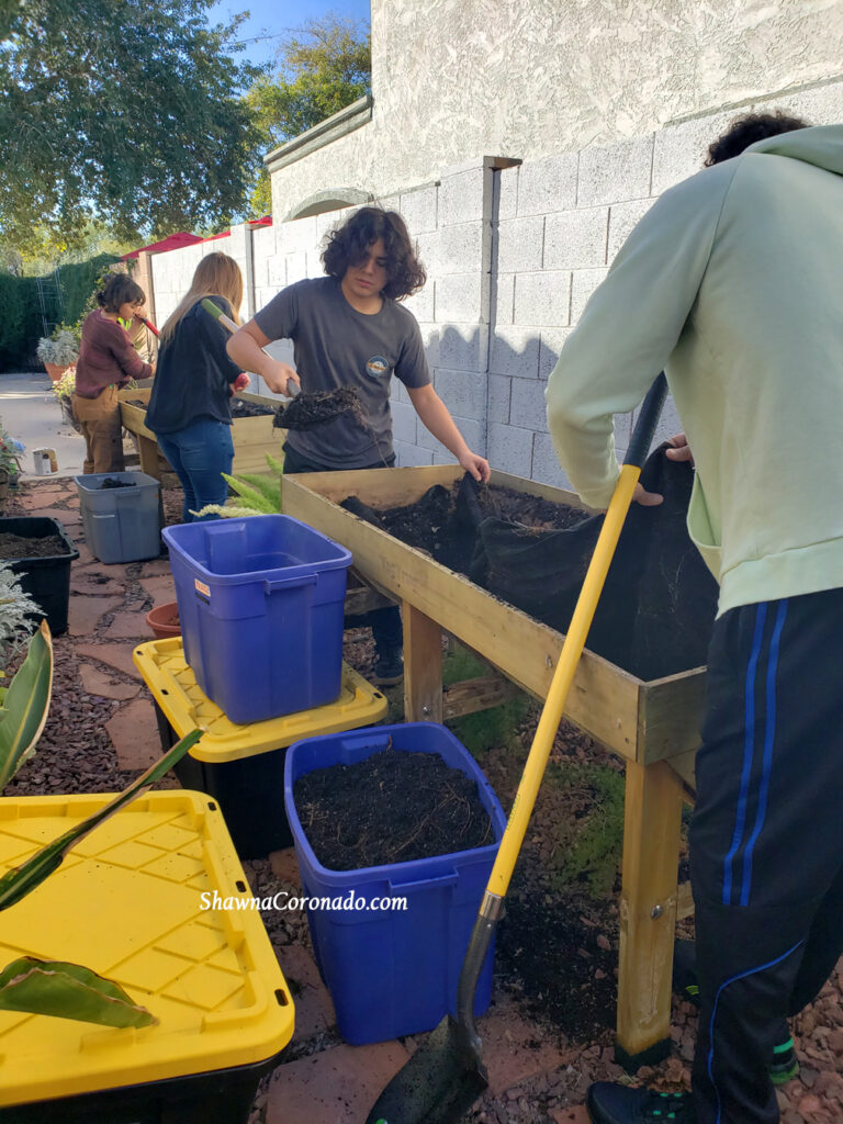 Cleaning out old garden beds