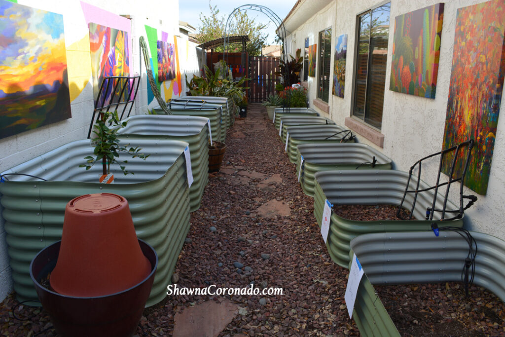 Elevated Beds without Soil