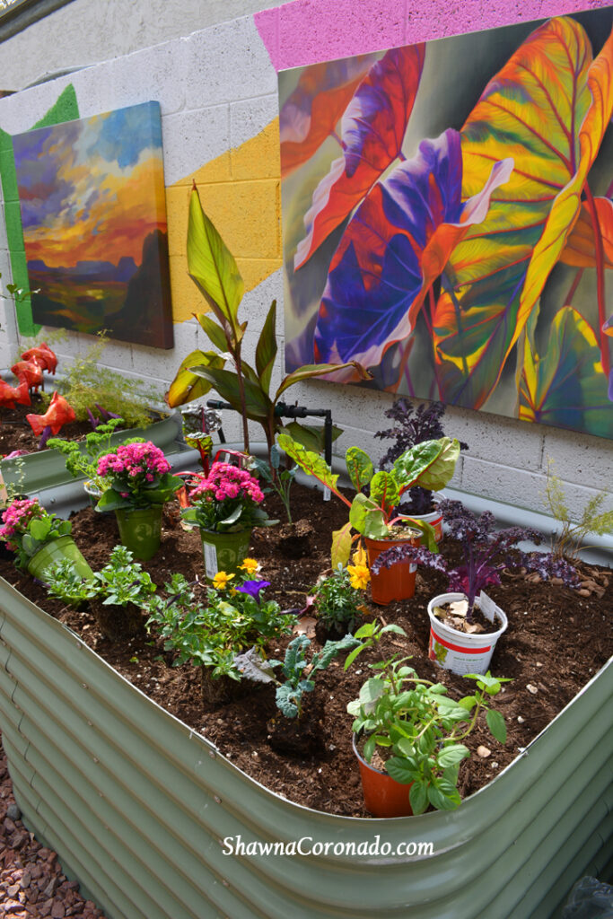 Planting Art Gallery Garden