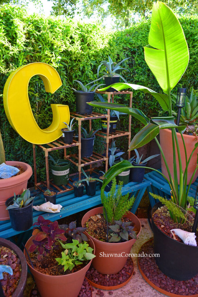 Garden-Plant-Library-Corner