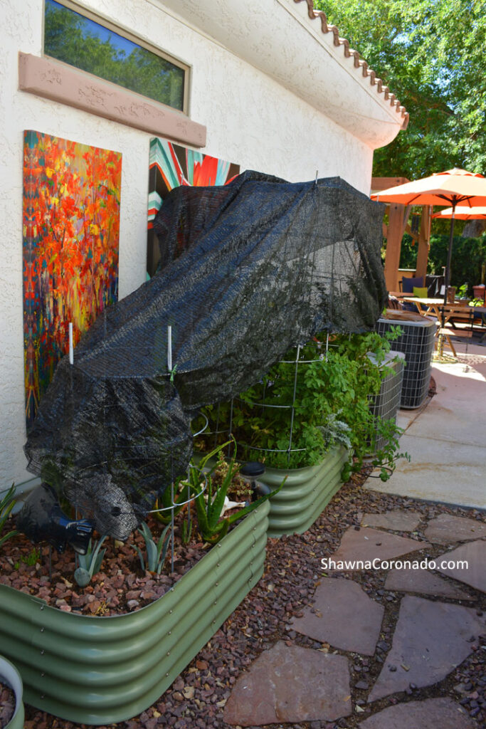 Raised Bed Garden with 30 Shade Cloth