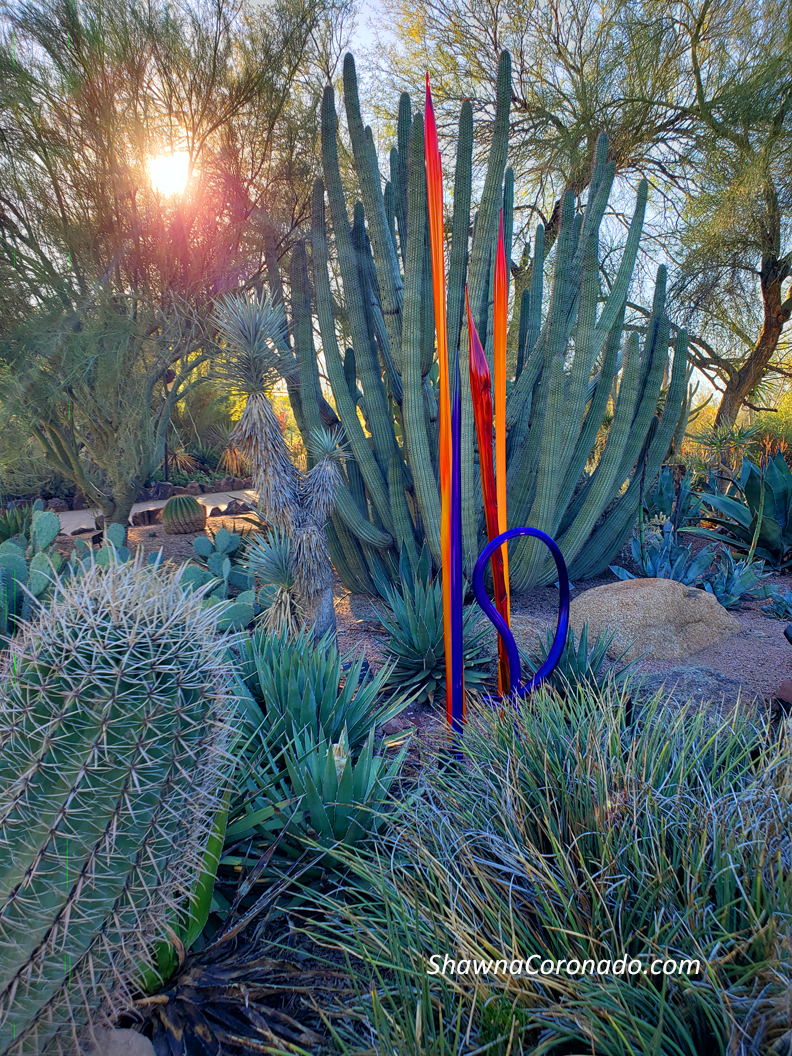 DBG Chihuly photo credit Shawna Coronado